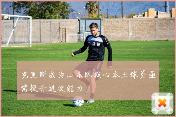 克里斯成为山东队核心本土球员亟需提升进攻能力